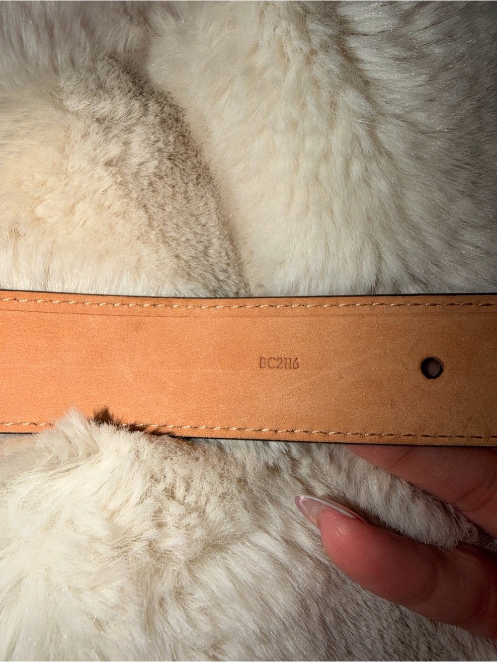 Belt - Picture 5 of 7